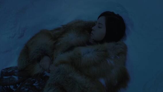 南极之恋结局是什么女主角死了没 南极之恋是真实故事吗
