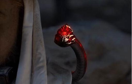 精绝古城的蛇是什么蛇