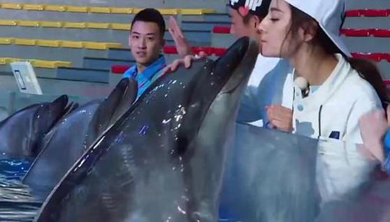 海豚亲吻热巴是哪一期