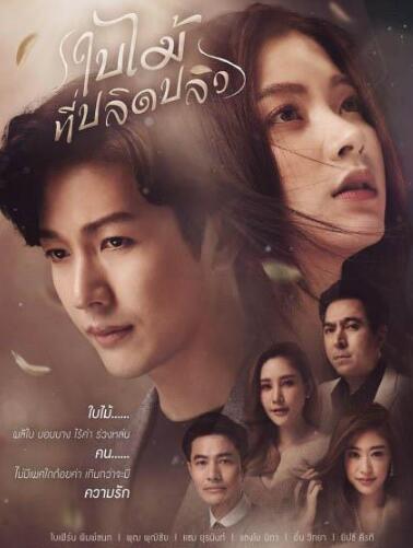 泰剧吹落的树叶人物关系