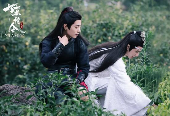 蓝忘机为什么叫魏婴不叫魏无羡