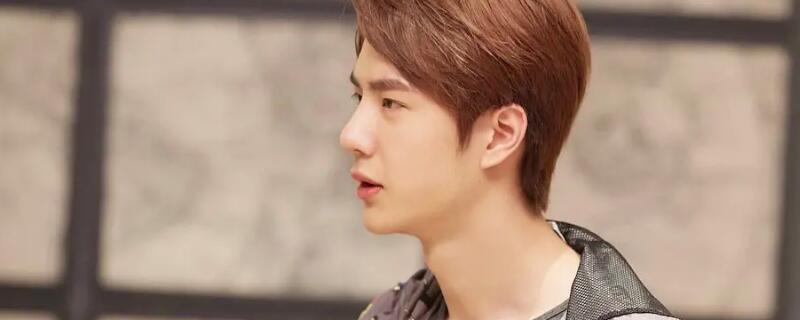 翟至味最后和谁在一起