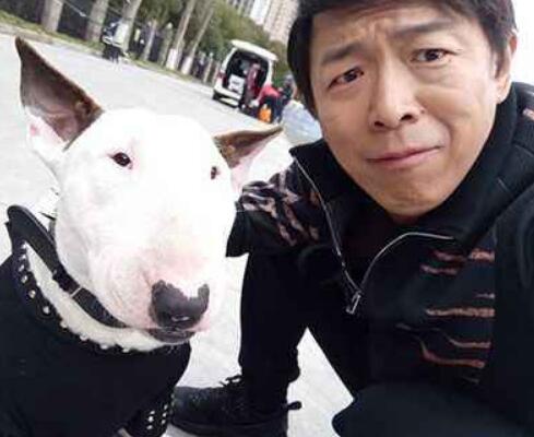 极限挑战小狗是哪一集