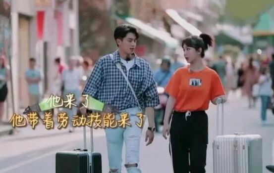 杨紫忽悠王鹤棣是什么节目