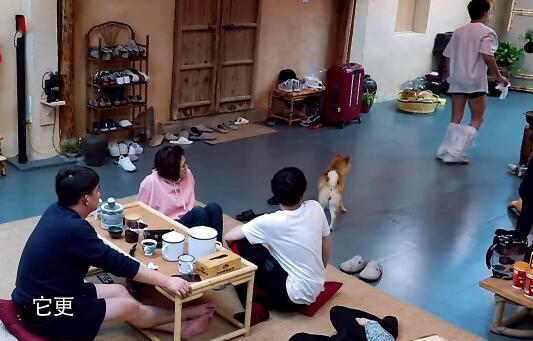 向往的生活刘宪华掉裤子是哪一期