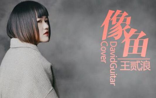 像鱼原唱是谁