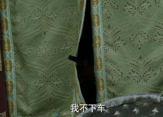庆余年言冰云在第几集出现