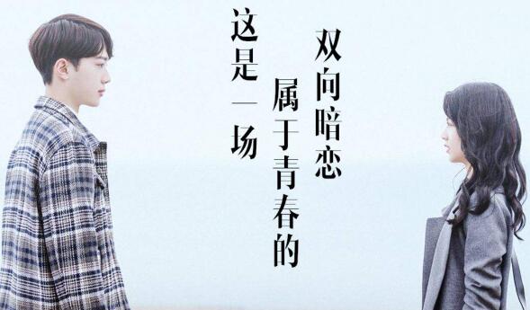 梁又年夏淼淼为什么分手