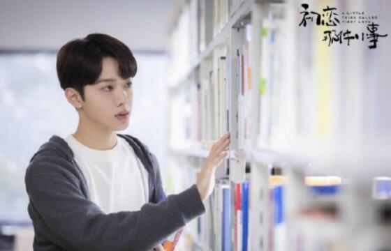 梁又年林开拓什么关系