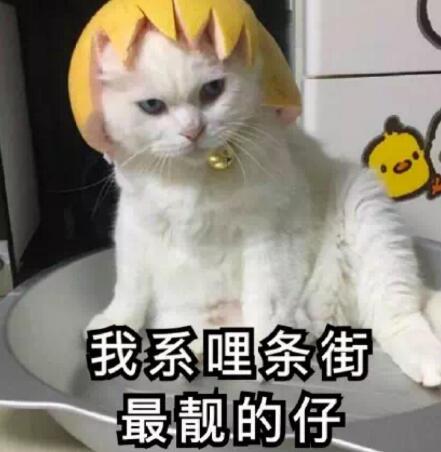 抖音最靓的仔什么歌