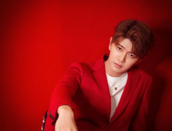 任嘉伦的粉丝口号