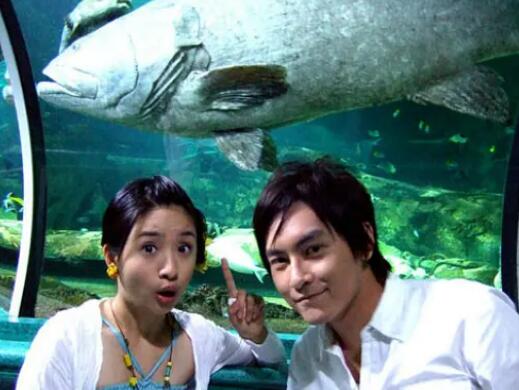 恶作剧之吻袁湘琴得了什么病