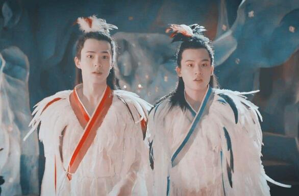 妖猫传白龙为什么喜欢杨贵妃