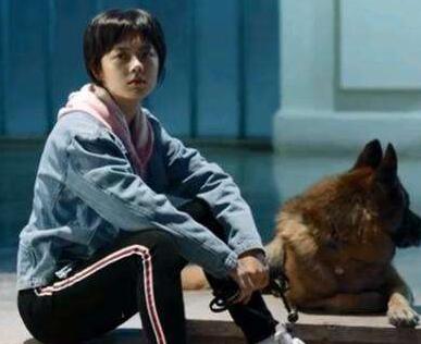 重生陈蕊的结局