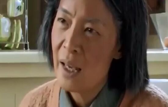 婆婆来了杀鹅是哪一集