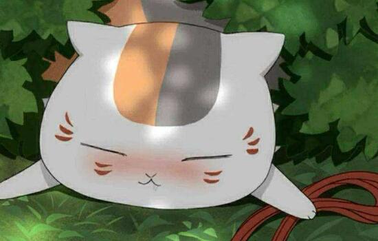夏目友人帐的猫叫什么