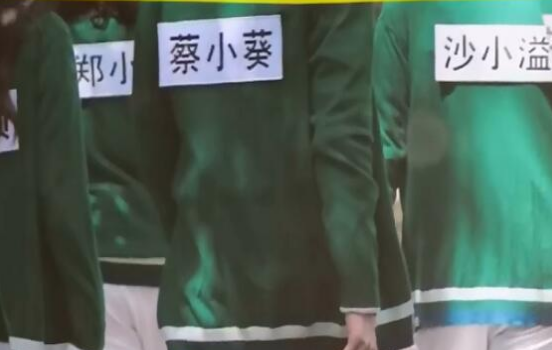 蔡小葵是怎么来的名字