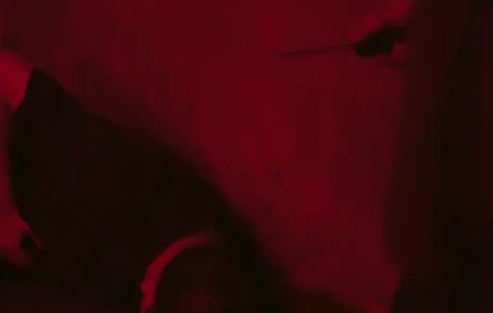 隐秘的角落东升杀了几个人