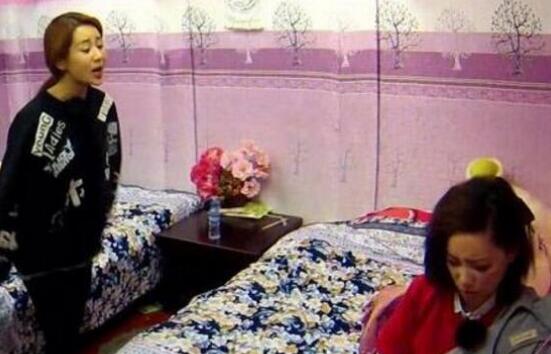 李斯丹妮杨紫真人秀叫什么名字