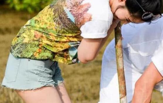 李沁魏大勋种树哪一期