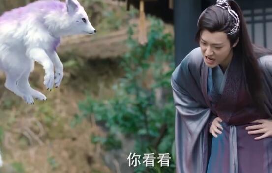 琉璃美人煞紫狐怎么死的