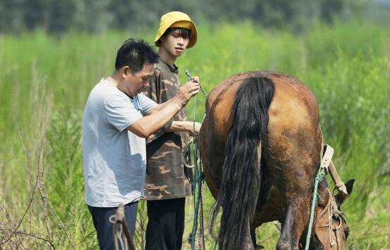 做家务的男人魏大勋回老家是哪一期