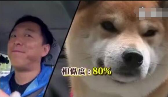 极限挑战黄渤和秋田犬哪期