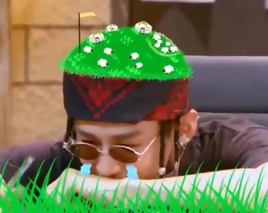 明星大侦探白白被绿是第几期