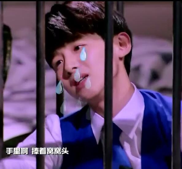 明星大侦探白敬亭咬笼子是哪一期