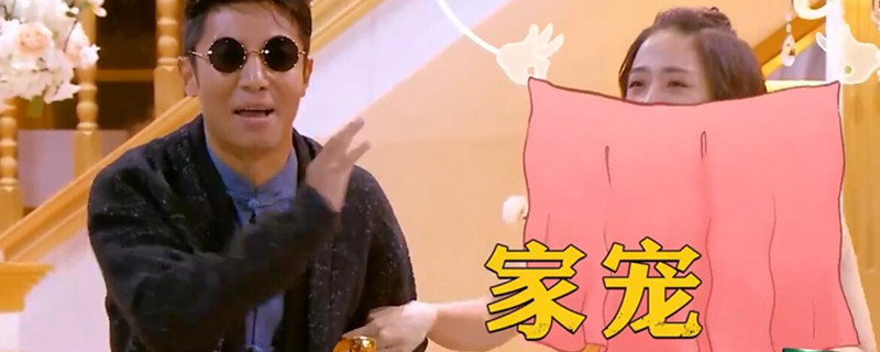 明星大侦探鬼鬼说自己是家宠哪期