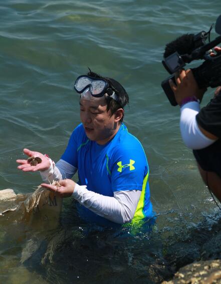 极限挑战黄渤下海捞鲍鱼哪期