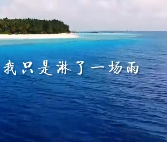 我只是淋了一场雨是什么歌