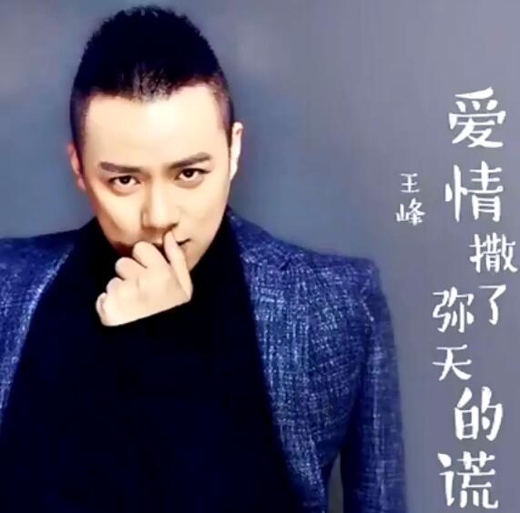 午夜街边的灯陪着孤单是什么歌