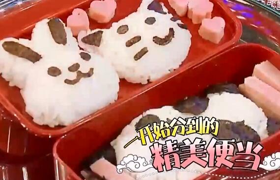 王牌对王牌王源吃爱心便当哪一期