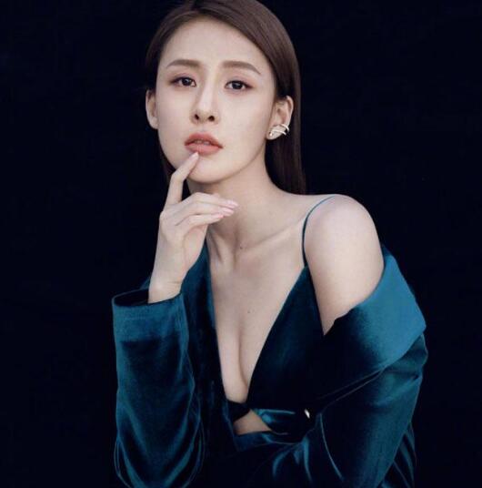 贾青以前的组合