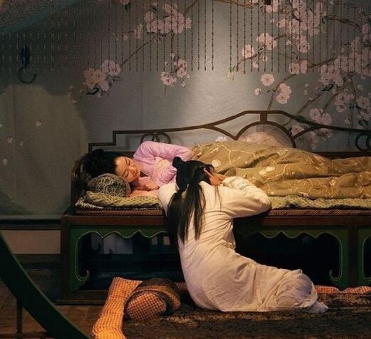 赘婿是什么意思