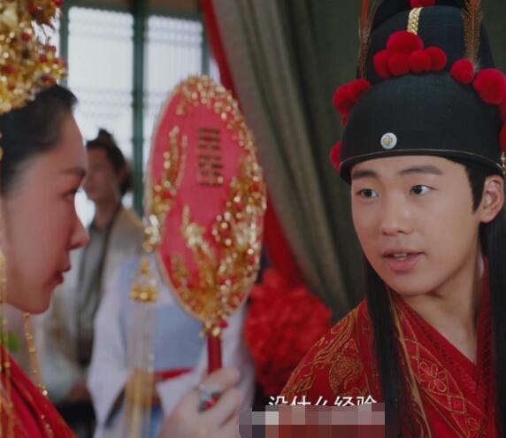 赘婿讲的是什么故事