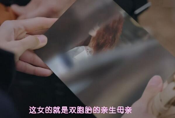 顶楼锡勋的蝴蝶亲生母亲是谁