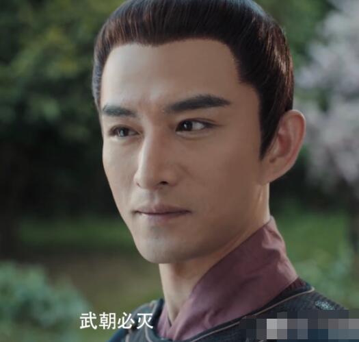 赘婿武朝灭亡了吗