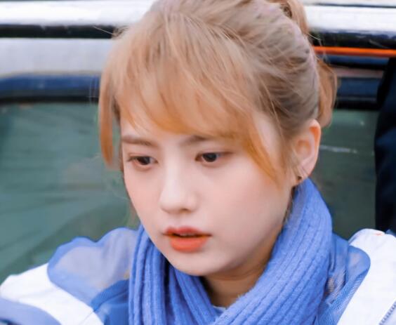 阮青夏是谁演的