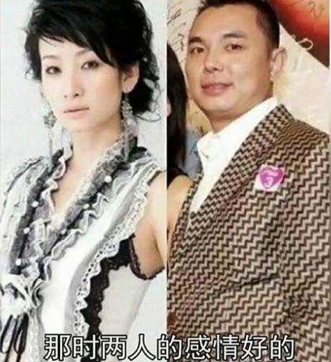 秦海璐情伤怎么回事