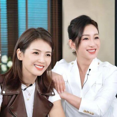 秦海璐是刘涛的老板吗