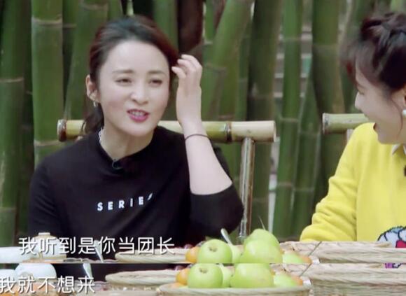 蒋勤勤和刘涛有什么恩怨