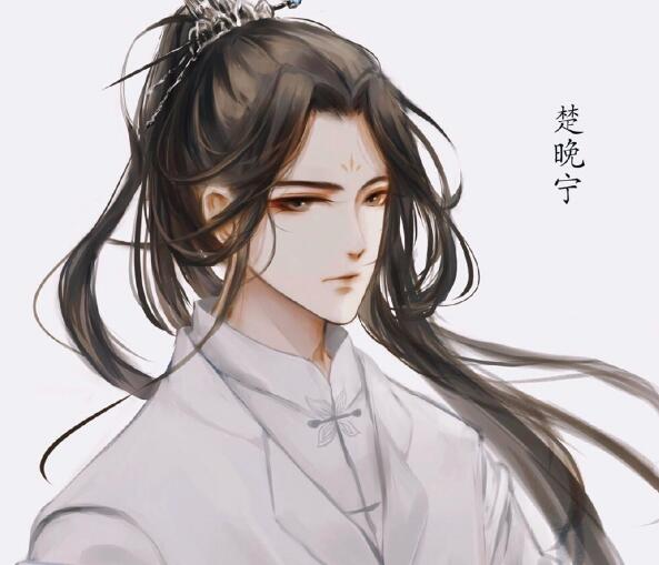 皓衣行小说楚晚宁结局