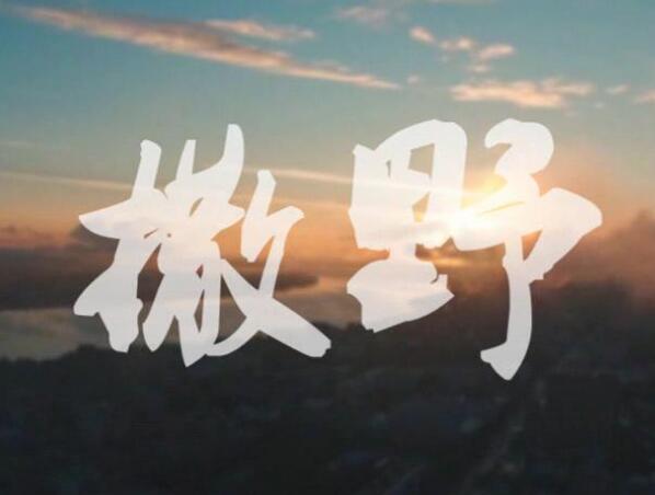 左肩有你小说叫什么