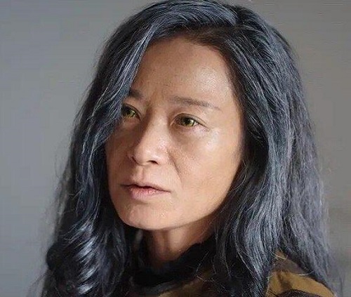 司藤里孔菁华是谁