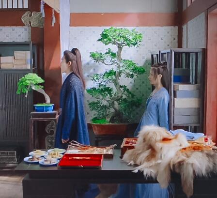 遇龙青青是青玄鸟吗