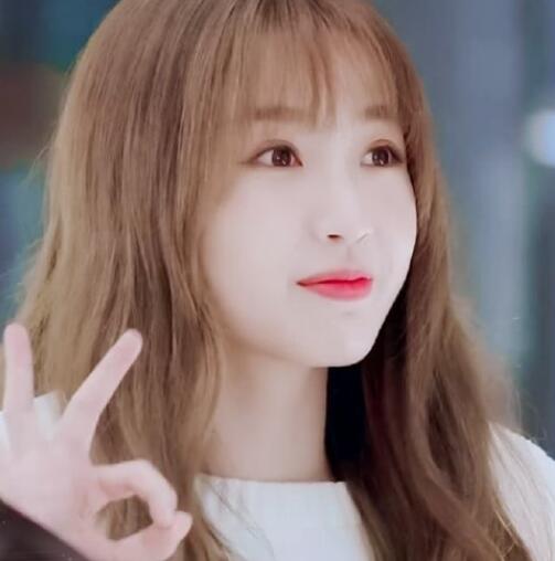 月光变奏曲小鸟结局