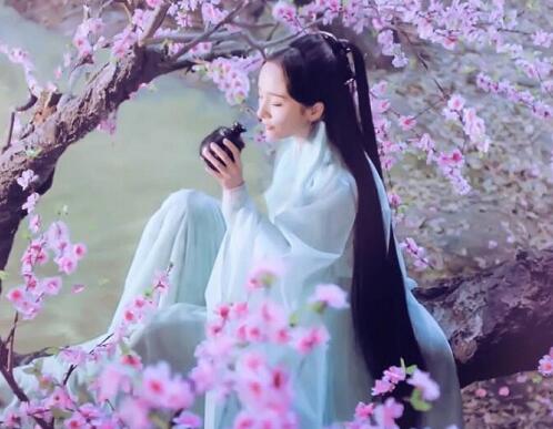 白浅跟少绾是什么关系