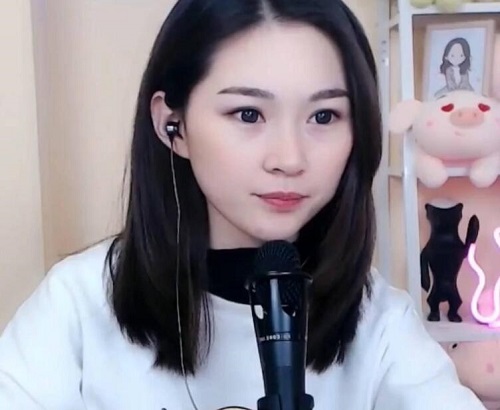 你若三冬来换我一城雪白是什么歌